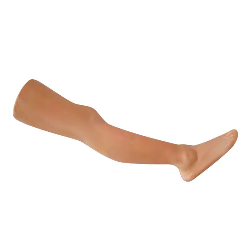 DARHMMY 50CM PVC Durable Female Human
