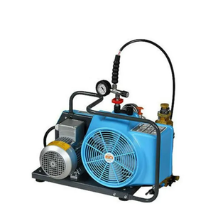 ปั๊มลมรุ่น BC163099B พร้อมปั๊มลมและเครื่องอัดอากาศ - Product Image 4