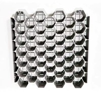 Dalles de gazon renforcées en HDPE pour le stationnement des voitures, stabilisateur de gravier pour allée, pavage perméable