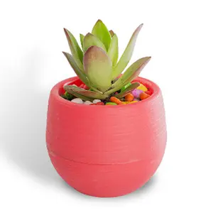 Mini Round Self-watering Factory Supply Home Decor Garden Plastic Flower Pot bonsai home decorative flower pot planter