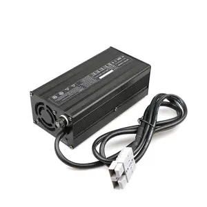 Shenzhen factory manufacture 11.1v 24v li-ion battery charger for lithium battery