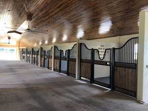 حصان قطيفة مع صندوق حظيرة، أبواب هولندية لحظيرة حصان، حظيرة حصان لخلفي حصانين - Product Image 2