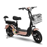 Trottinettes électriques EBIKE avec moteur sans balais, batterie au lithium 20Ah, autonomie de 60 km, roues de 14 pouces, services OEM/ODM disponibles