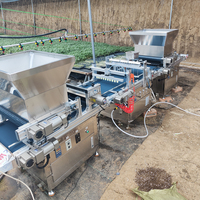 Dispositif de dosage automatique des semences à haute précision (98 %) pour semoir de plants de tomates avec une vitesse de semis de 500 plateaux/h et 12 rangs