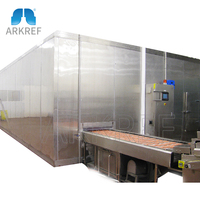 Arkref Industriële Fabrikant Bevroren Fruit En Plantaardige Verwerking Iqf Tunnelvriezer | 1000 Kg/u Vis Snelvriesmachine