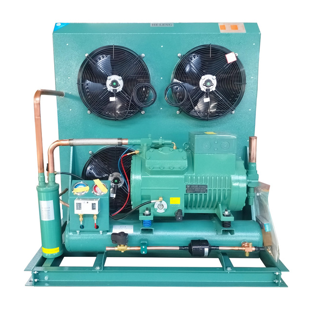 Customized 380v5ph/60hz Condensing Refrigeration Unit Air Cooled Refrigeration Freon Cold Room Refrigerator Walk in Fridge