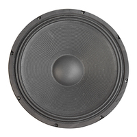 15 İnç 500W 8 Ohm 95dB Profesyonel Ses Sistemi Subwoofer Hoparlör Sürücüsü, PA Sistemi OEM Fabrika Özel Üretimi
