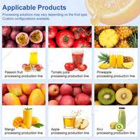 Automatische productielijn voor verse sinaasappel-appel-lychee sap dranken, kleine schaal machine, Turkije