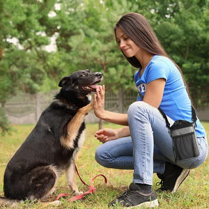 Bolsa de regalo para perros, bolsa de entrenamiento para mascotas con bolsillo de almacenamiento Exterior, juguetes de Snacks - Product Image 4