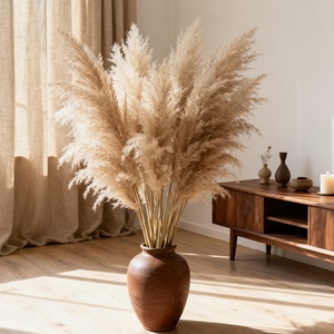 Hierba de Pampas Premium, 12 Tallos de 32 Pulgadas, Naturalmente Esponjosa y de Bajo Mantenimiento, Cuidado Cero, Perfecta para Rellenar Jarrones Grandes en Cualquier Espacio - Product Image 1