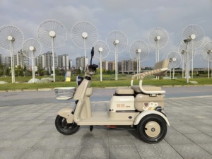 <span class=keywords><strong>Triciclo</strong></span> Eléctrico de Carrocería Abierta Beixiu >60V 72V 1400kg Vehículo Motorizado de Pasajeros 501-800W 30-50Km/h - Product Image 3