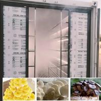 Équipement hydroponique de culture de champignons HEZHOU HM-40FT, personnalisé en usine, pour la culture de champignons de culture hydroponique de type oyster, shiitake et champignons bouton, à haut rendement