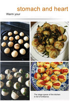 Poêle Takoyaki en fonte-Machine à boules de poulpe à 19 trous, poêle à griller Aebleskiver/Fish Ball, antiadhésive et à chaleur uniforme, outil chauffant