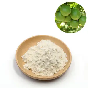 Organic Sugar subsittute Monk Fruit extract 30% Mogroside V Luo Han Fruit Extract Powder