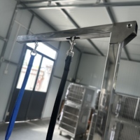 Table de toilettage électrique pour animaux de compagnie (chats et chiens) pour la tonte, le séchage et la beauté, équipement de lavage et de toilettage pour cliniques vétérinaires et ouverture de salons.