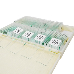 Juego de 100 Portaobjetos de Histología para Anatomía y Fisiología, Recurso Esencial de Ciencias Médicas en Caja de Madera, para <span class=keywords><strong>Cursos</strong></span> Universitarios - Product Image 5