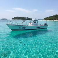 Bateau de pêche à console centrale en fibre de verre Grandsea de 30 pieds à moteur hors-bord à vendre
