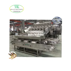 Máquina Clasificadora Automática de Sardinas, <span class=keywords><strong>Precio</strong></span> de Fábrica, Clasificación de Camarones Congelados y Productos Frutales, Camarón Rey - Product Image 2
