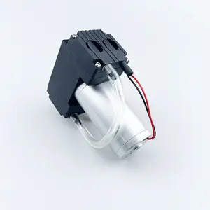 Double Head High Performance 13 L/mim Micro Steel Tube Motor Vacuum Pump Vacuum Packaging Machine Pump 12v 24v