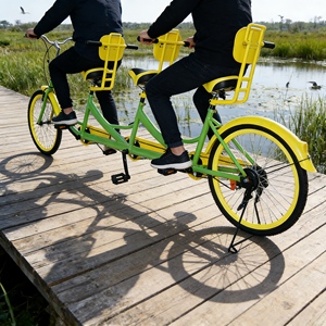 Vente flash : vélo familial électrique à <span class=keywords><strong>trois</strong></span> <span class=keywords><strong>places</strong></span>, sûr, pour les loisirs en plein air, les promenades dans les parcs, les visites touristiques en ville, la location, les attractions - Product Image 3