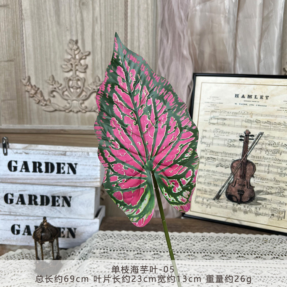 YM2-Single taro leaf-05