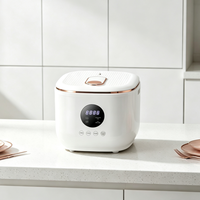 Nouveau modèle 2026 WT-A12-3.0L Cuiseur à riz en acier inoxydable avec cuve antiadhésive hémisphérique 500W, maintien au chaud 24h et minuterie
