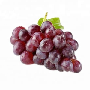 Nhà Máy Bán buôn cung cấp chiết xuất hạt nho bột 95% procyanidins bột - Product Image 4