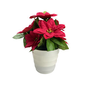 LED luminescente cinese rosso <span class=keywords><strong>Poinsettia</strong></span> <span class=keywords><strong>Bonsai</strong></span> vetrato da soggiorno Desktop luce notturna simulazione pianta in vaso verde transfrontaliera - Product Image 5