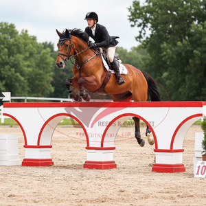 Events <strong>Show</strong> <strong>Jump</strong> Great Walls Equestrian Equipment Horse <strong>Show</strong> <strong>Jumps</strong> - Product Image 4