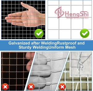 100X100Mm Dây Hàn Lưới Cừu Dê Chó Nông Thôn Nông Thôn Gal Mesh 50M/100M - Product Image 3