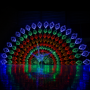 Fabricant chinois d'éclairage LED extérieur pour Noël en forme de paon, éclairage de décoration pour festivals commerciaux, vente en gros - Product Image 5