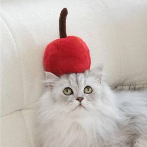 Cupcake Luxe Hond- en Kattenbed, Huisdierproducten en -benodigdheden, Kattenboomhuis met Krabplank, Huisdieraccessoires met Katten Speelgoed - Product Image 4