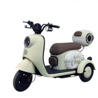 Haute puissance longue portée double moteur électrique livraison Tricycle 3 roues E Cargo Trike sable neige gros pneu pour adultes double surf