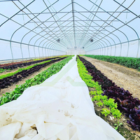 Serre tunnel monopente en PE, kit pré-découpé économique pour la culture prolongée des légumes et des tomates
