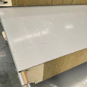 Panel Sándwich con Borde Sellado de PU, Diseño Industrial Anticorrosión para Estructuras de Acero, Cámaras Frigoríficas y Talleres - Product Image 5