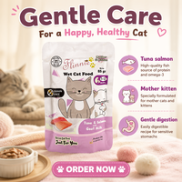 Nourriture humide pour animaux de compagnie en sachet de 100 g, riche en viande, saveur délicieuse, poulet et légumes mélangés, repas nutritif pour chats, directement de l'usine