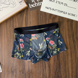 Vente chaude coloré élastique maille pleine dentelle slip Sissy <span class=keywords><strong>culotte</strong></span> Gay garçons <span class=keywords><strong>en</strong></span> caleçon hommes Boxer slips - Product Image 4