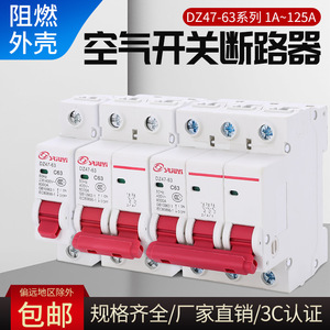 Disjoncteur miniature série DZ47 1P/2P/3P/4P 1A-125A 230V/400V Montage sur rail Type C Protection contre les surcharges et les courts-circuits - Product Image 5