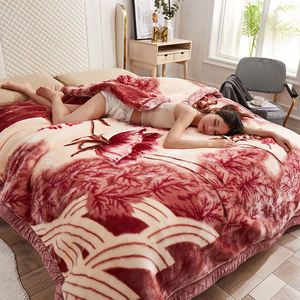 Mantas de Invierno Estilo Coreano con Flores en Relieve, Manta de Cama para Invierno y Otoño, Ecológica, de Doble Capa, Gruesa, Tipo Raschel - Product Image 1