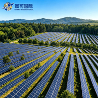 Kit de ferme solaire photovoltaïque forestière à grande échelle avec système de support au sol à grande hauteur pour l'installation photovoltaïque en forêt