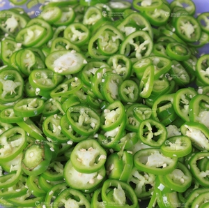FC-302 <strong>Electric</strong> Small Green <strong>Onion</strong> Chopper <strong>Machine</strong> Spring <strong>Onion</strong> Leek <strong>Cutter</strong> Cutting <strong>Machine</strong> - Product Image 4