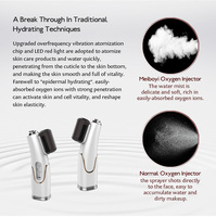 Appareil de nettoyage du visage Meiboyi, vaporisateur à nano-brume d'oxygène, usage domestique, équipement de salon de beauté
