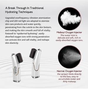 Meiboyi Hot Sell Gesichts reinigungs gerät Sauerstoff Nano Mist Sprayer Heimgebrauch Beauty Salon Ausrüstung - Product Image 3