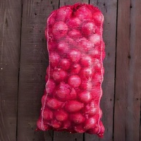 Hesheng 100% virgin PP geweven buisvormige gaaszak met ingebouwde trekkoord voor groente- en fruitverpakkingen 25kg/50kg SWL