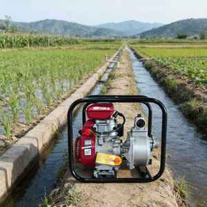 Bombas Centrífugas de Gasolina a Precio de Fábrica, 2.5HP, 1.5 Pulgadas de Descarga, Baja Autocebante, Altura de Succión 7m, para Riego por Goteo - Product Image 2