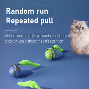 Nuevo Juguete Eléctrico para Gatos y Perros Speedy Tail: Pelota Automática Inteligente, Segura y Divertida para Entretenir a tu Mascota, Pelota Speedy con Cola para Gatos - Product Image 3