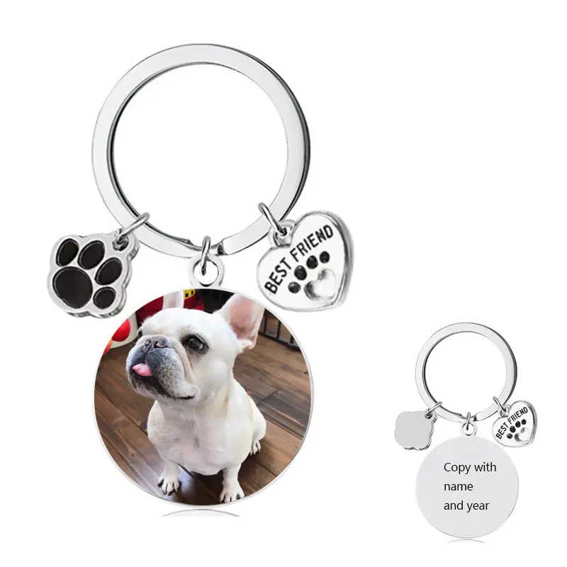 Chaveiro com etiqueta de cachorro em aço inoxidável DIY pingente com foto personalizado para presente memorial para cães, frete grátis