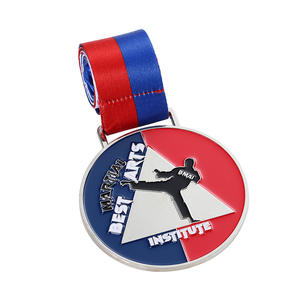 מפעל למות הליהוק מדליות מתכת מותאמות אישית 2d כסף מצופה סגסוגת אבץ אמייל ג 'ודו קראטה טאקוונדו מדליות לוגו מותאם אישית - Product Image 2