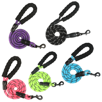 Laisse pour chien A Mazon Top Seller avec poignée rembourrée, en nylon durable, matériau réfléchissant, laisse ronde rayée avec ruban
