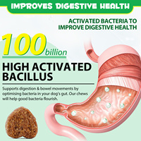 Friandises Comprimées Prébios et Probiotiques Nutritionnelles Marque Privée OEM pour Chiens, Santé Intestinale, Peau, Pelage, Allergies et Immunité